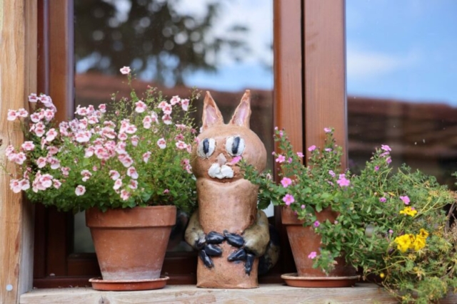 Veronikina Mačička v okne